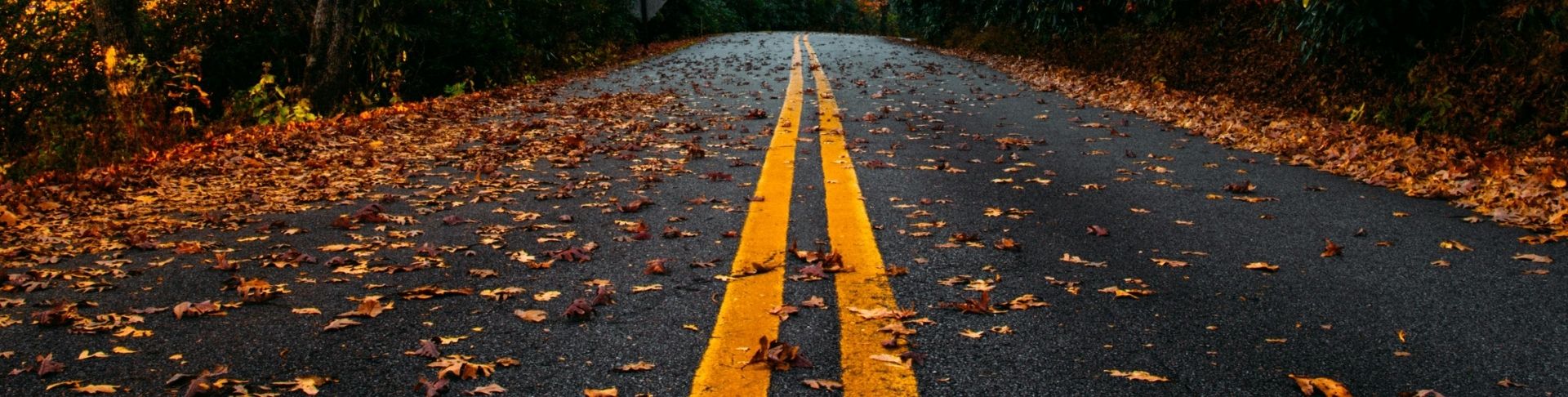 dkt-gmbh-stο-monaxo